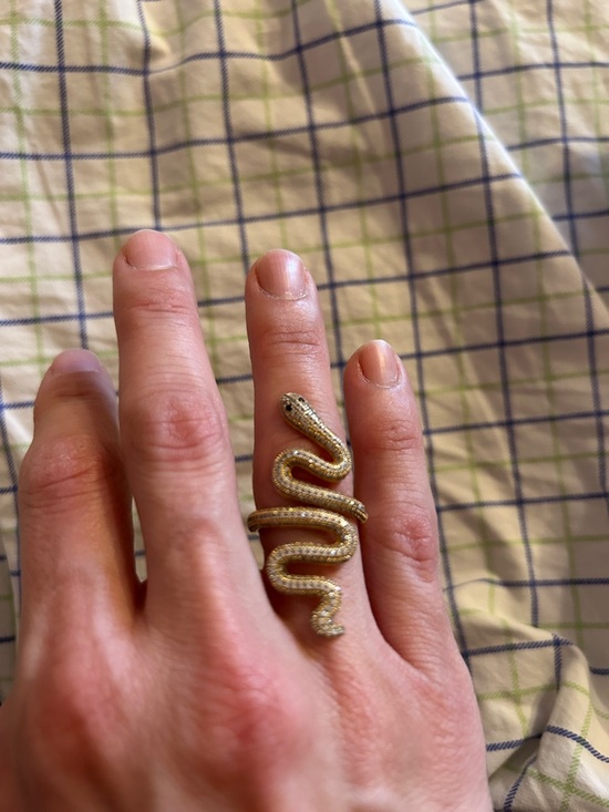 Taylor Swift Jewelry - Taylor Swift official reputation snake ring